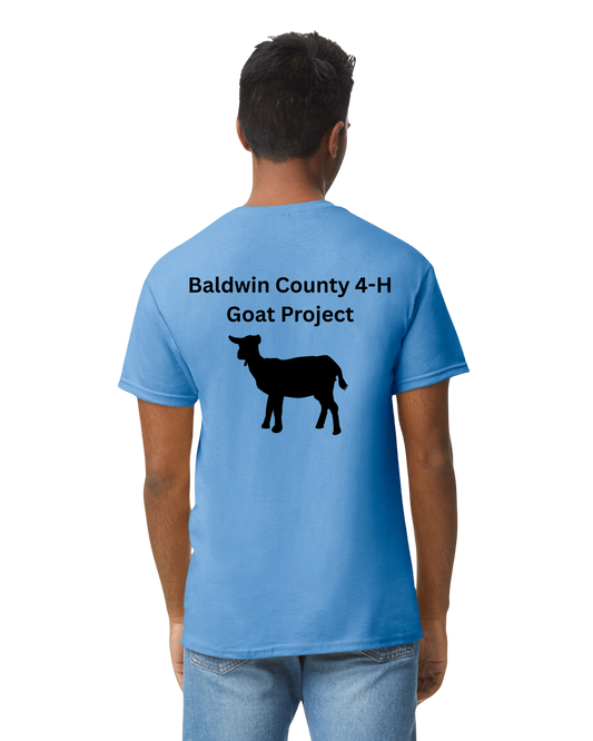Baldwin County 4H Goat Project